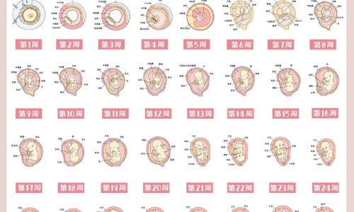 子宫肌瘤和子宫肌瘤有什么区别-专业子宫肌瘤和肿瘤是一种病吗平台-子宫肌瘤和子宫癌一样吗