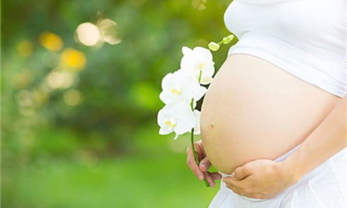 子宫肌瘤和子宫肌瘤有什么区别-专业子宫肌瘤和肿瘤是一种病吗平台-子宫肌瘤和子宫癌一样吗