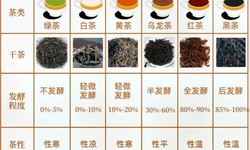 子宫肌瘤和子宫瘤是一个病吗-子宫肌瘤和子宫肌瘤有什么区别-专业子宫肌瘤和肿瘤是一种病吗平台-子宫肌瘤和子宫癌一样吗